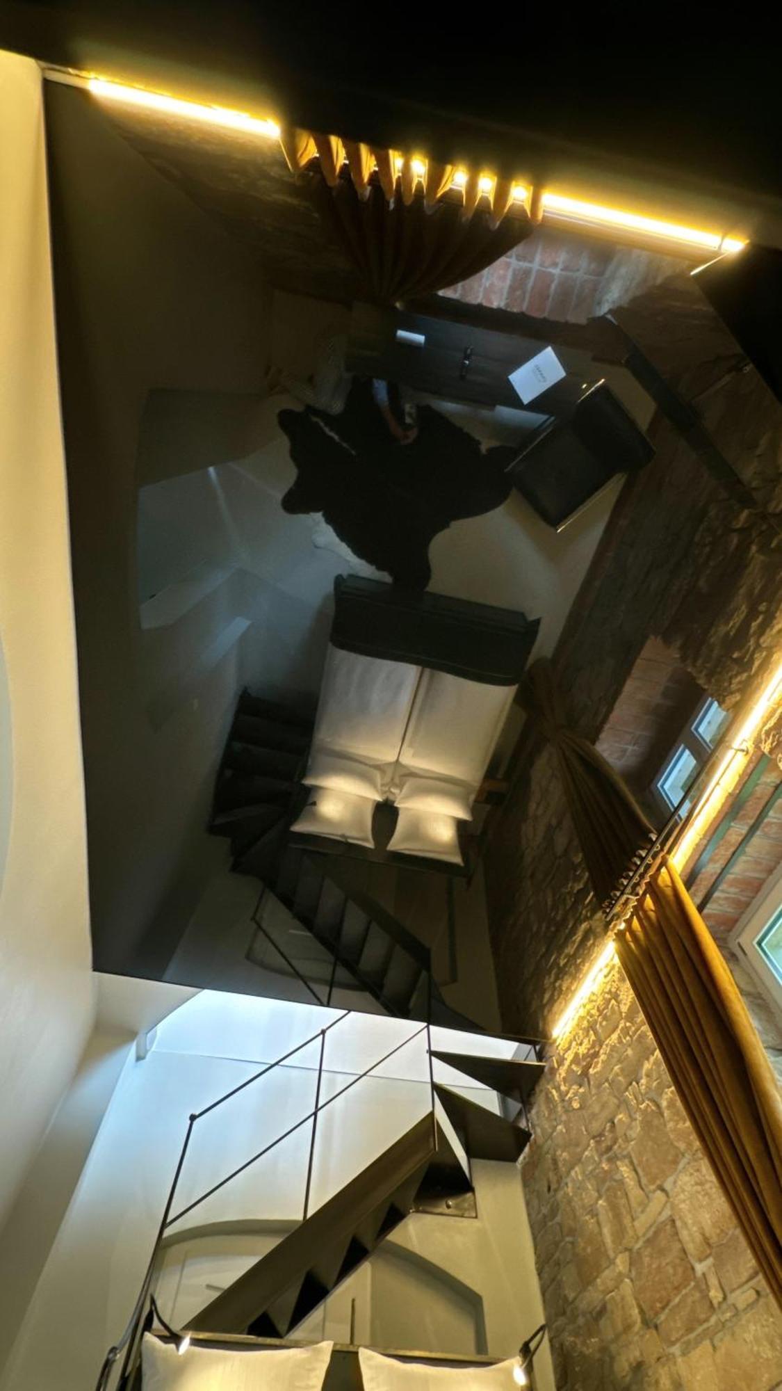 Historical Luxury Homes - Luxus Loft Wallstreet Freiburg im Breisgau Kültér fotó