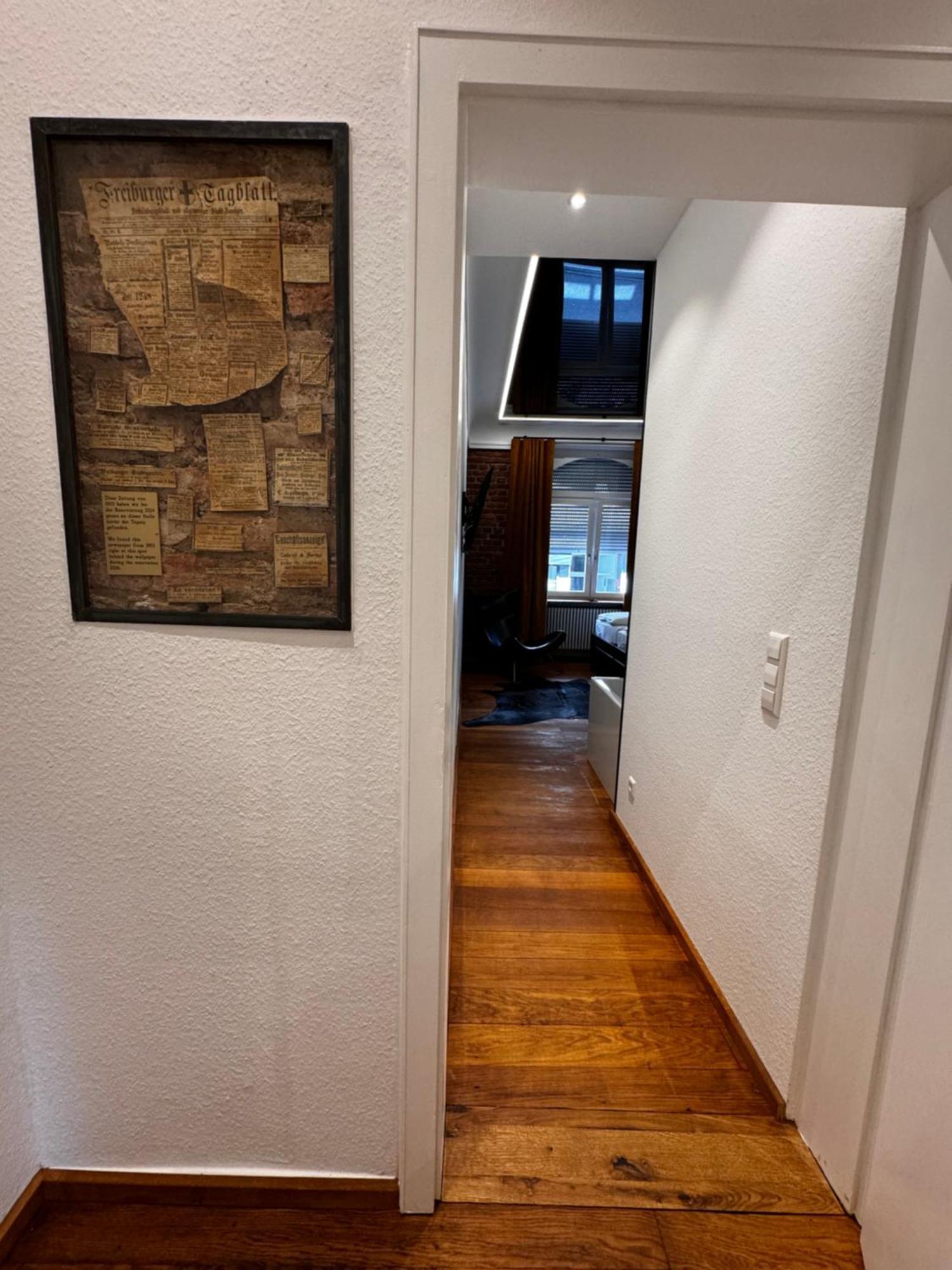 Historical Luxury Homes - Luxus Loft Wallstreet Freiburg im Breisgau Kültér fotó