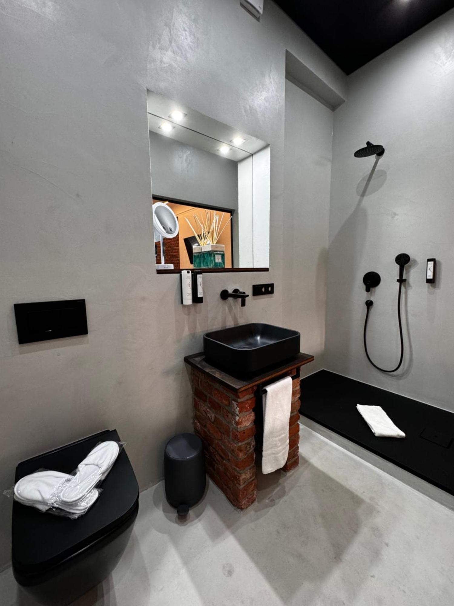 Historical Luxury Homes - Luxus Loft Wallstreet Freiburg im Breisgau Kültér fotó