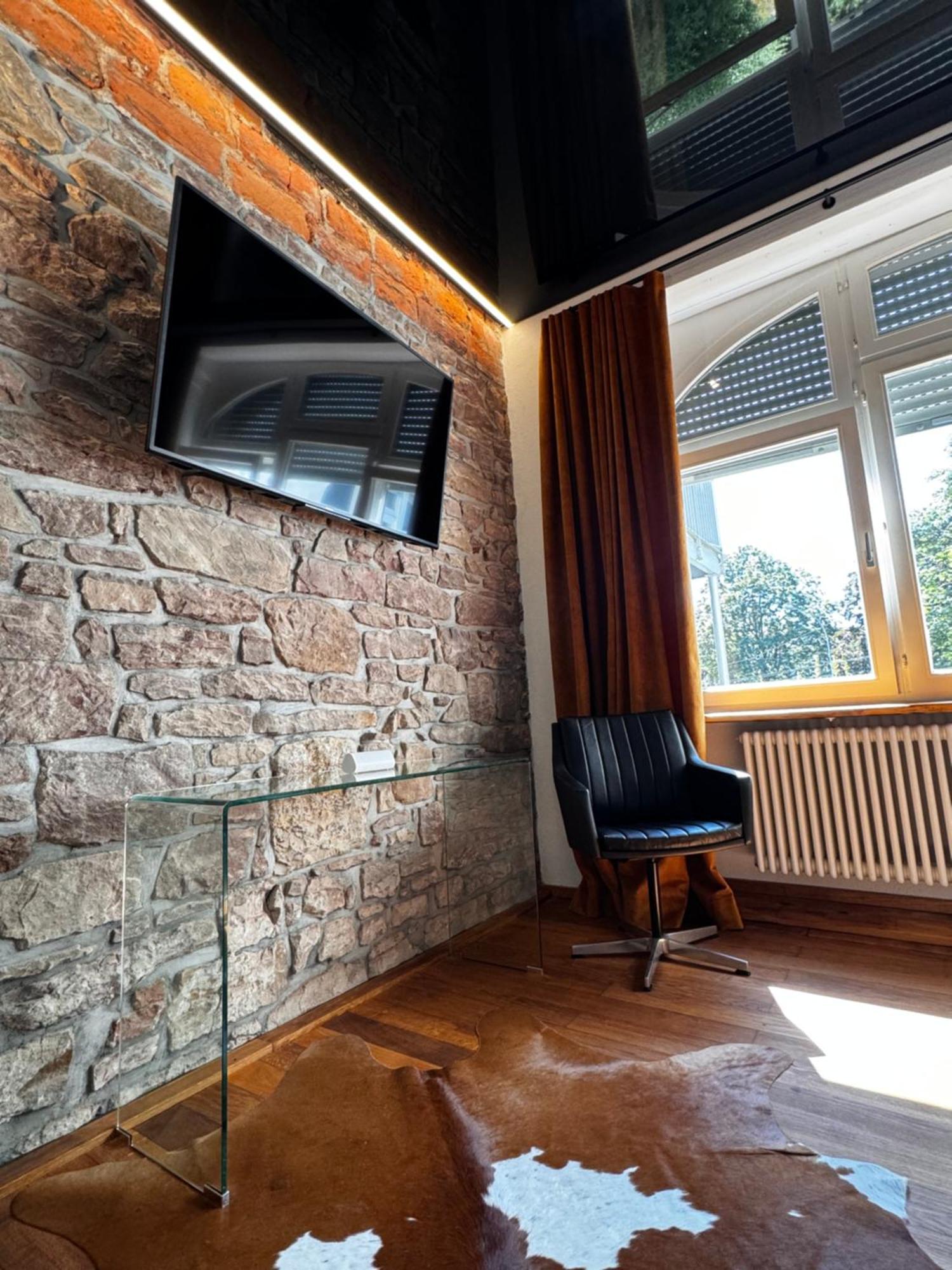 Historical Luxury Homes - Luxus Loft Wallstreet Freiburg im Breisgau Kültér fotó